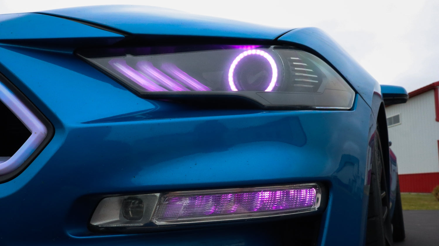 2018+ Ford Mustang OEM Fog lights & Turn Signals