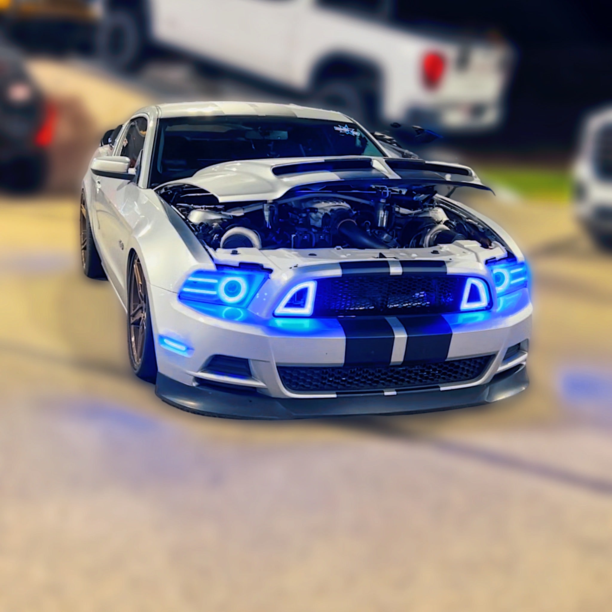 Calandre style Mustang RTR 2013-2014