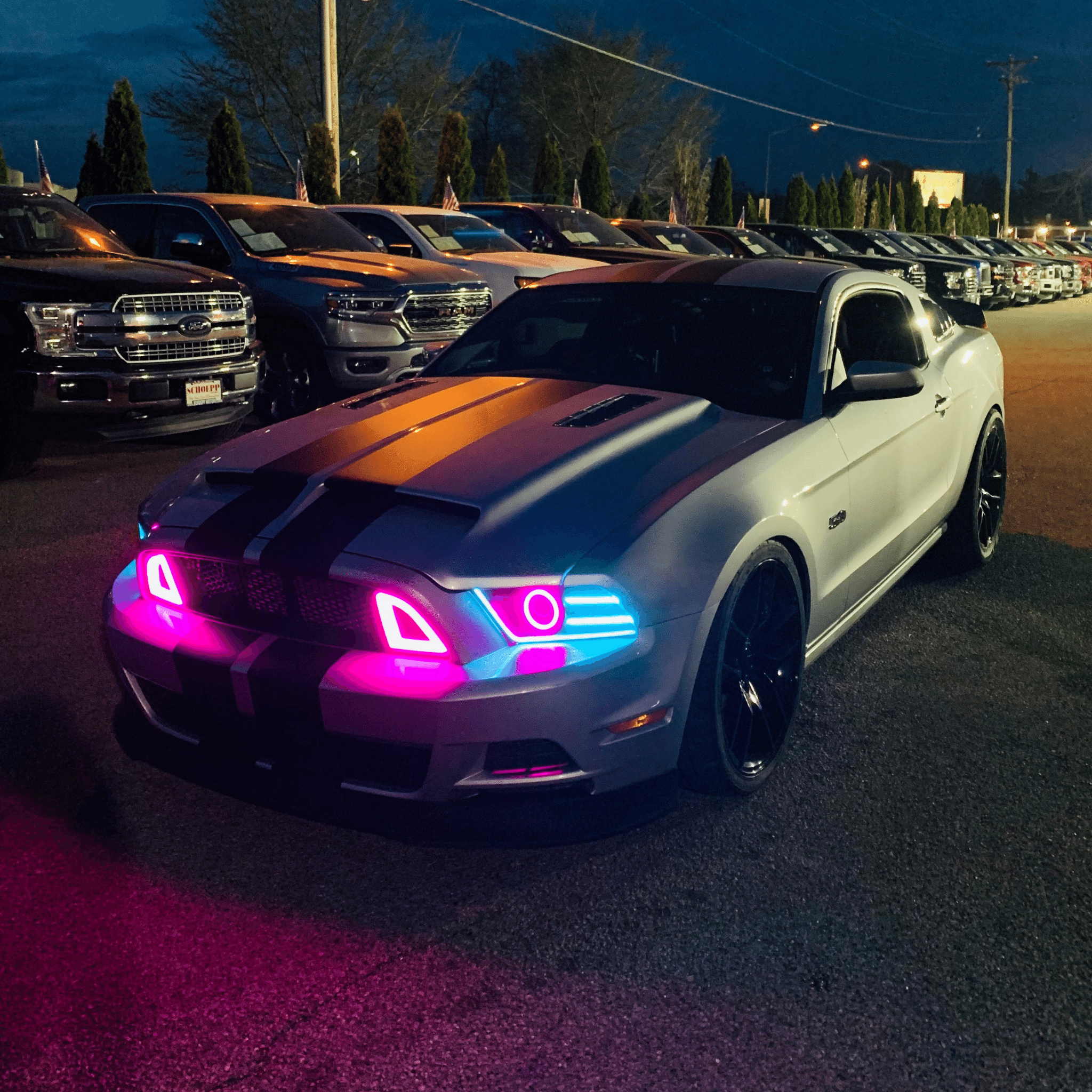 Calandre style Mustang RTR 2013-2014